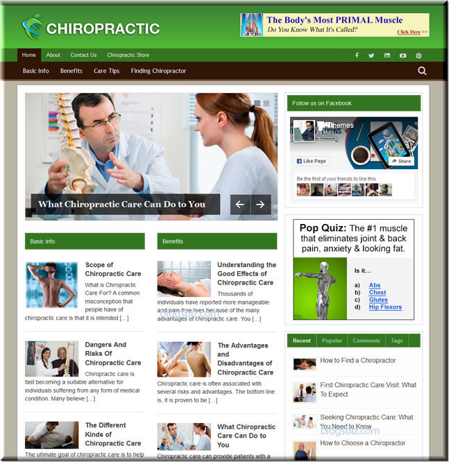 Premade Chiropractic Website + Bonus