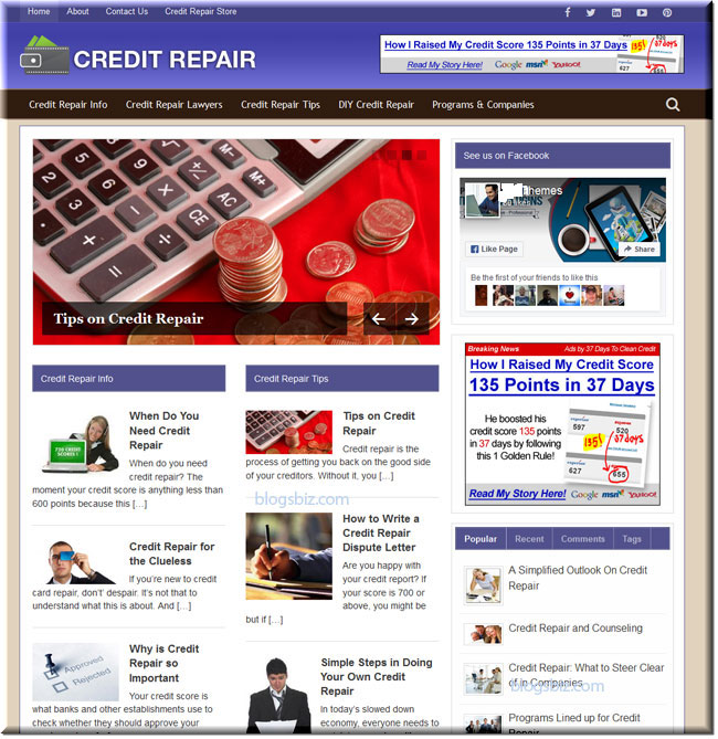 Premade Credit Card Repair Blog + Bonus
