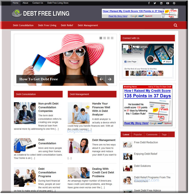Premade Debt Free Blog + Bonus