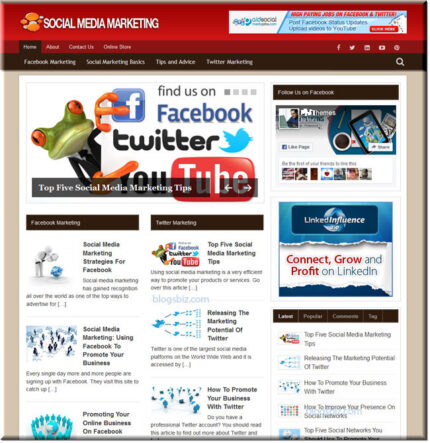 social media marketing